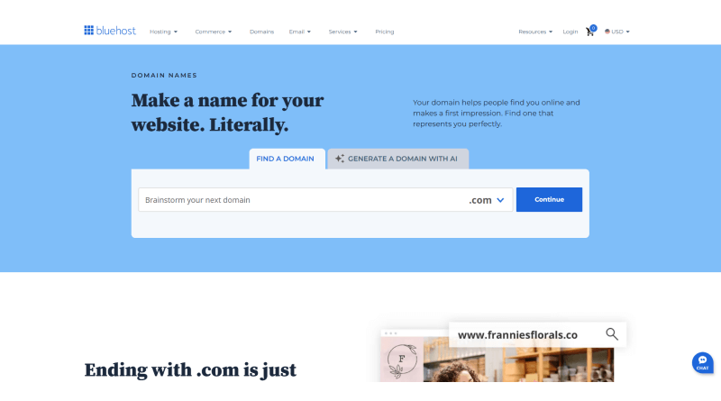 bluehost-com-domain-name-provider